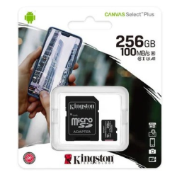 MEMORIA KINGSTON MICROSD 256GB/10
